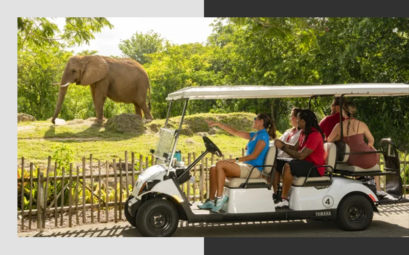 Family-Friendly Activities