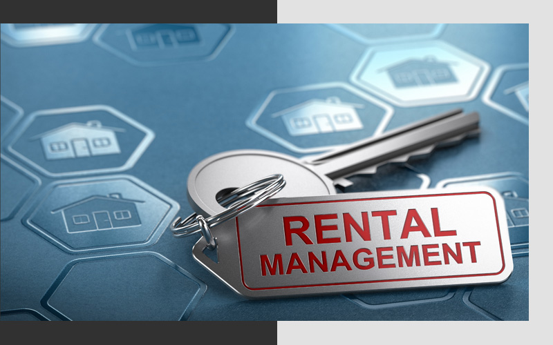 Our Management Process