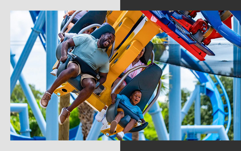 Top Things To Do in Tampa