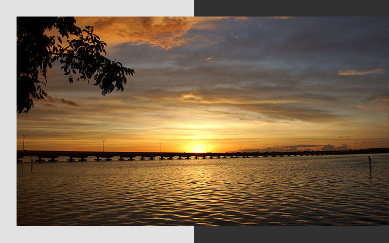 Why Owners Choose Sun Dream Services